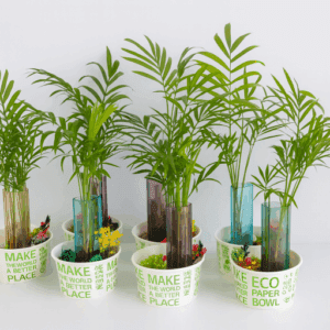 에코탄스톤 수경식물 만들기 체험