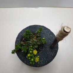 Alternative view of 맷돌다육