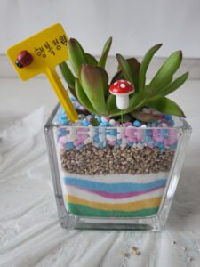 유리테라리움(색모래테라리움) 만들기