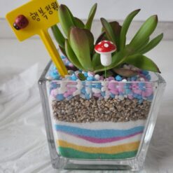 유리테라리움(색모래테라리움) 만들기