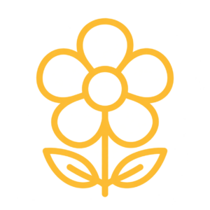 꽃과 식물 알아보기